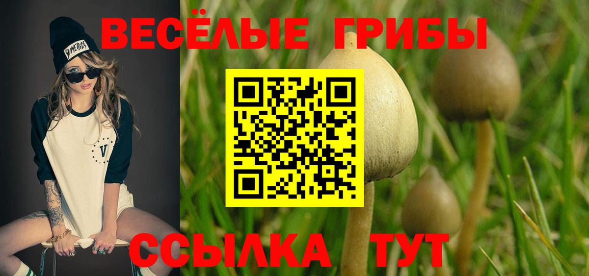 Галлюциногенные грибы прущие грибы Белая Калитва